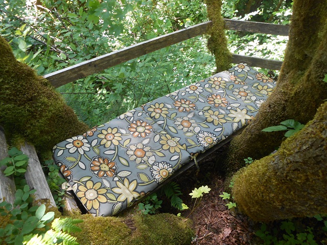 Rain forest observation tree house. . .